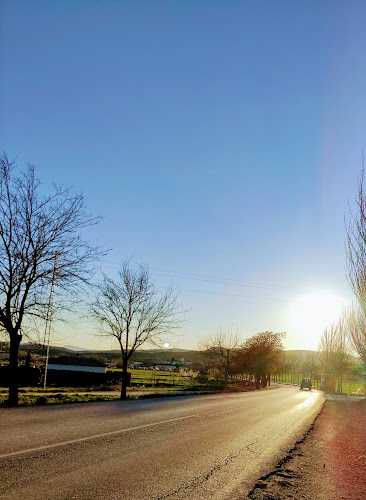 Fotografia tomada fuera de Talleres Campotéjar - Taller de automóviles en Campotéjar, Granada