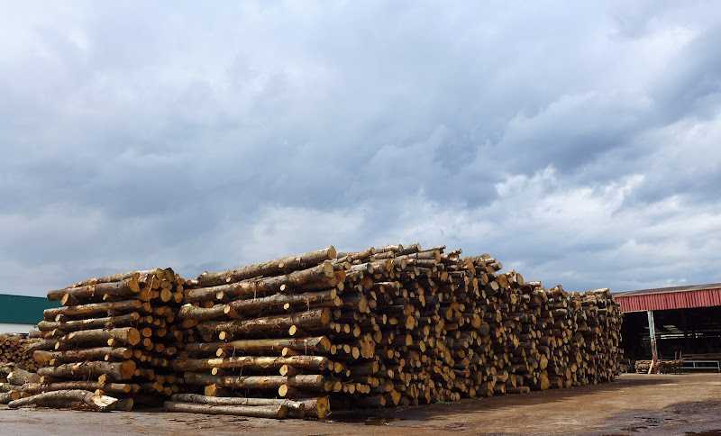 Fotografia tomada fuera de Maderas Siero - Establecimiento de venta de madera en Siero, Asturias