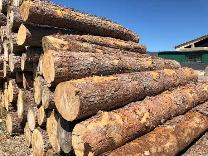 Fotografia tomada fuera de Querqus Sustainable Packing S.L. Sabiñánigo - Aserradero en Pardinilla, Huesca