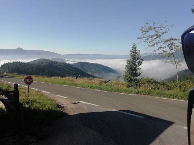 Fotografia tomada fuera de Arkaizpegurrak - Empresa maderera en Albiztur, Guipúzcoa