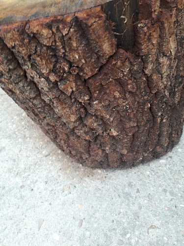 Fotografia tomada fuera de Maderas Hermanos González - Establecimiento de venta de madera en Puente Duero-Esparragal, Valladolid