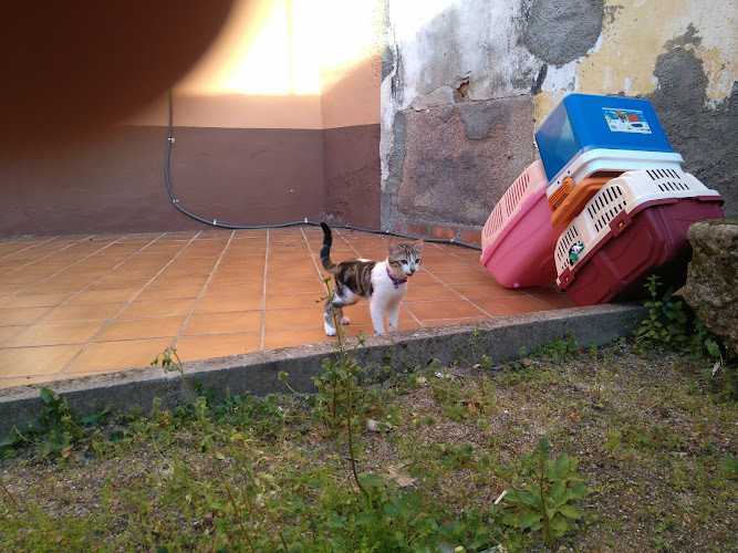 Fotografia tomada fuera de Angel Muñoz Martín - Tienda de armarios en Navalcán, Toledo