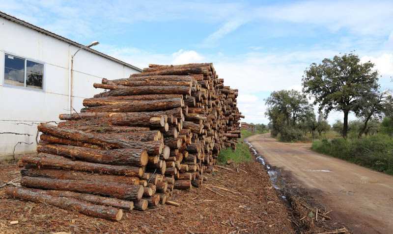 Fotografia tomada fuera de Laminados Castilla La Mancha - Empresa maderera en Navahermosa, Toledo
