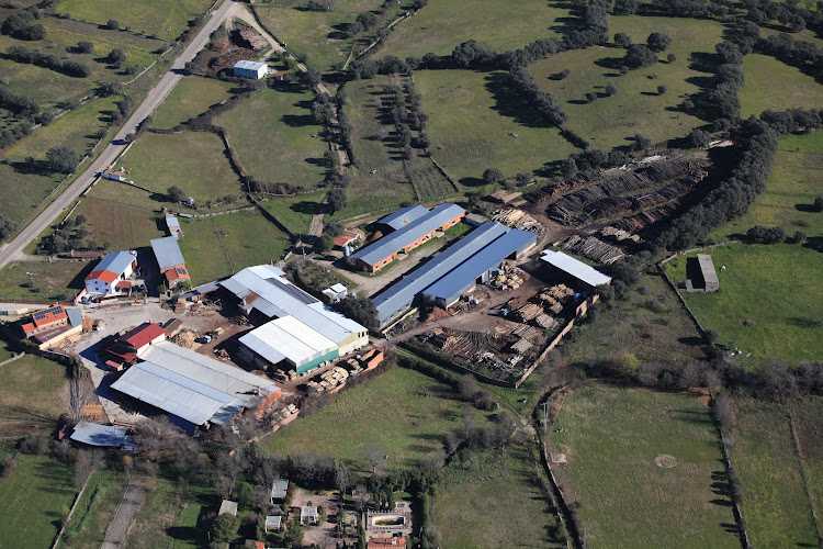 Fotografia tomada fuera de Maderas Nacimiento - Aserradero en Parrillas, Toledo