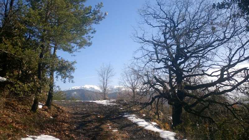 Fotografia tomada fuera de Restaurante Cal Sastre - bares en Vallcebre, Barcelona