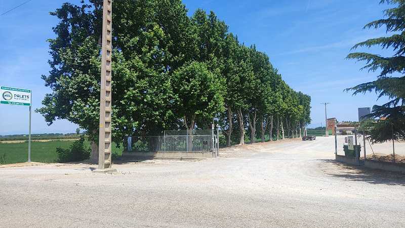 Fotografia tomada fuera de Palets Pla D' Urgell (Planta reciclaje madera) - Fábrica en Barbens, Lérida