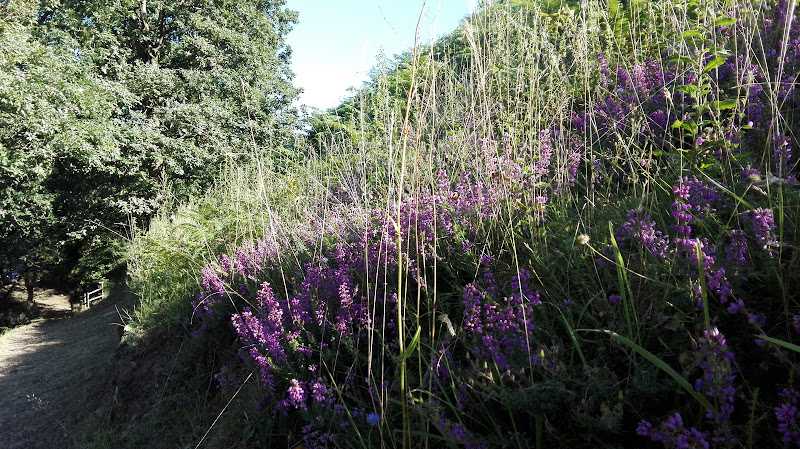 Fotografia tomada fuera de Carpintería Fernández - Tienda de armarios en Somahoz, Cantabria