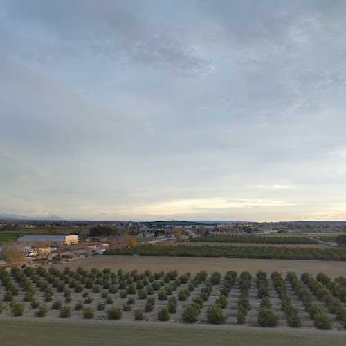 Fotografia tomada fuera de Tableros Marluc S.l. - Proveedor de puertas en Dolores, Alicante