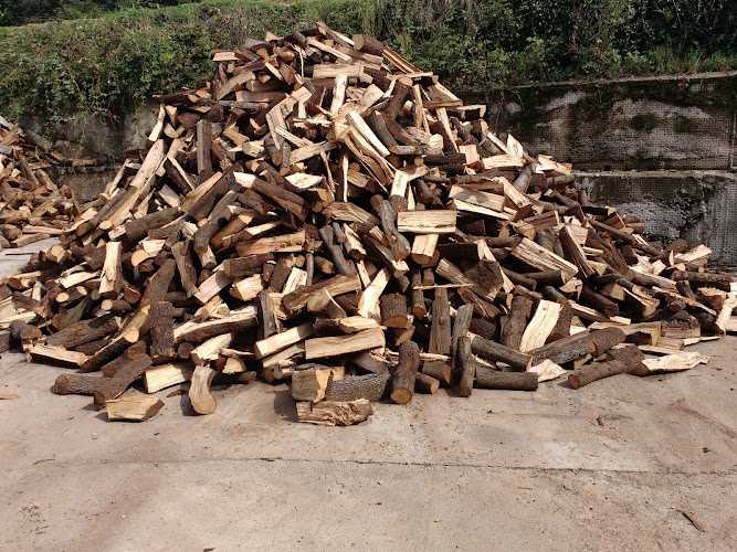 Fotografia tomada fuera de Maderas Palomé - Tienda de artículos para el hogar en Olot, Girona
