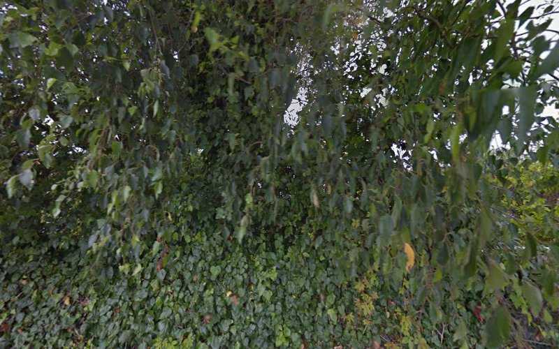 Fotografia tomada fuera de Carpintería Galdó C B - Tienda de armarios en Oviñana, Asturias