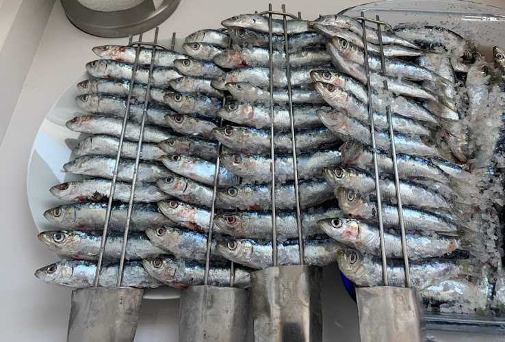 Fotografia tomada fuera de Carpintería Metálica Camearco S.L. - Carpintería metálica y de aluminio en Alhaurín de la Torre, Málaga