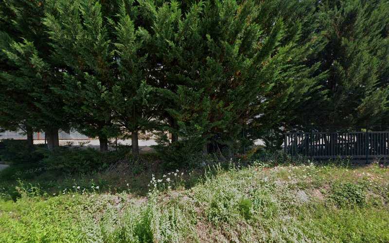 Fotografia tomada fuera de MADERAS BARRUNDIA SL - Aserradero en Ozaeta, Álava