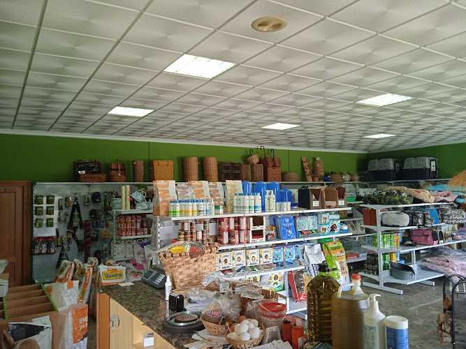 Fotografia tomada fuera de El pájaro carpintero - Comercio en Algueña, Alicante