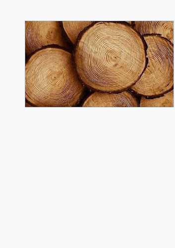 Fotografia tomada fuera de COMPLEMENTOS DE MADERA PARA LA TAPICERÍA TDG - Empresa maderera en Medina del Campo, Valladolid