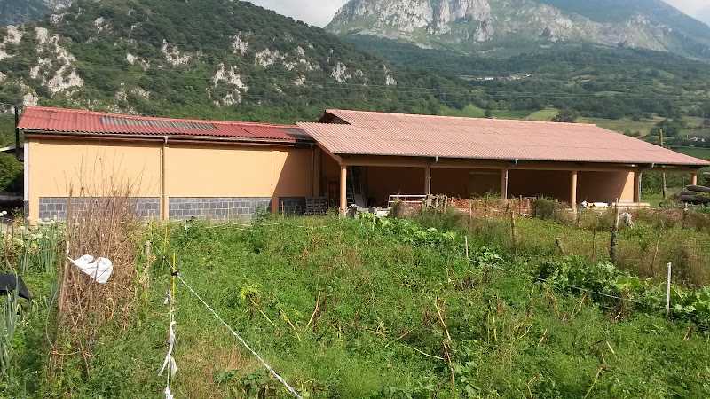 Fotografia tomada fuera de proaza carpinteria - Carpintero en Proaza, Asturias