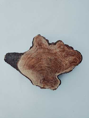 Fotografia tomada fuera de Fusteria Miquel Mestre - Carpintería en Felanitx, Baleares