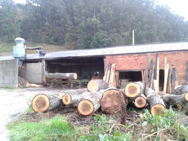 Fotografia tomada fuera de Serrería José Lavín Gómez - Aserradero en Liérganes, Cantabria