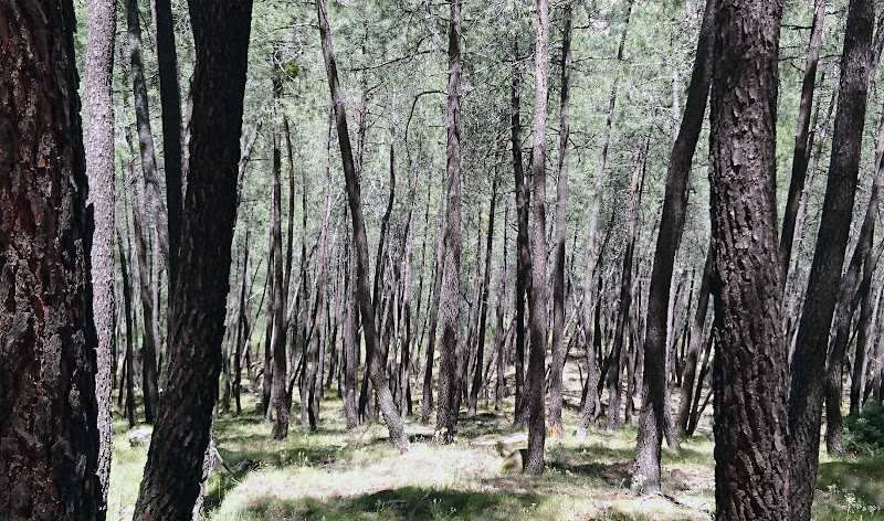 Fotografia tomada fuera de Serforma Carpintería - Carpintero en Cebreros, Ávila