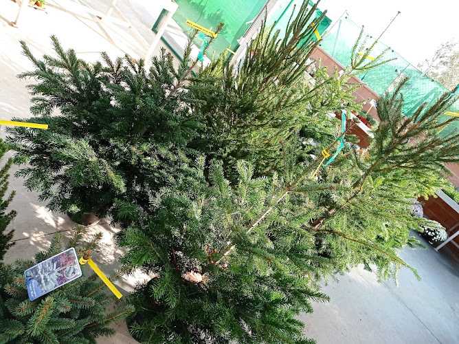 Fotografia tomada fuera de Vivero Los Cigarrales de Cobisa - Vivero en Cobisa, Toledo