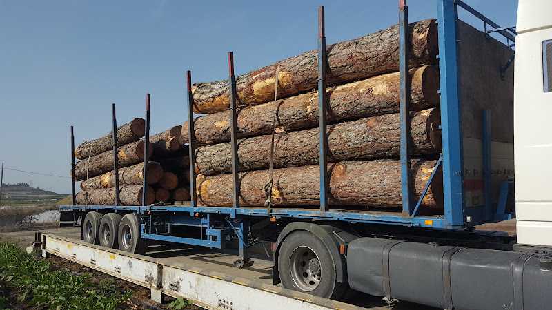 Fotografia tomada fuera de Maderas y Palets del Sur, S.L. - Aserradero en Vélez-Málaga, Málaga
