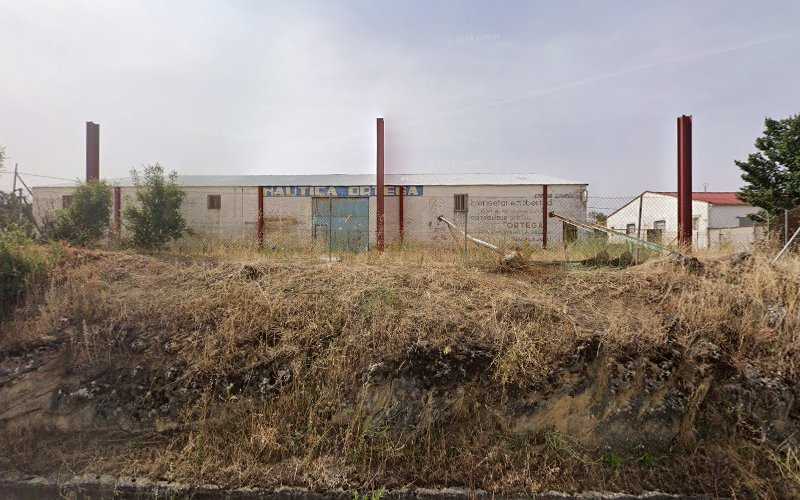 Fotografia tomada fuera de Tamarsa - Carpintero en Sacedón, Guadalajara