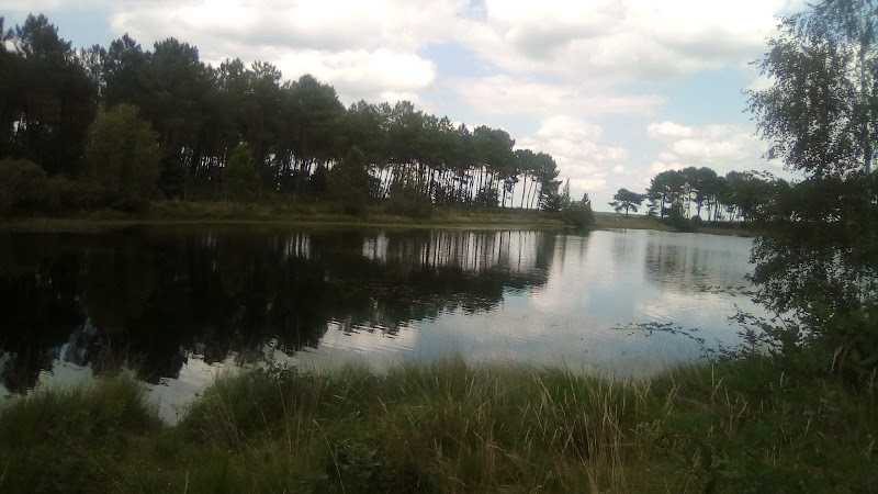 Fotografia tomada fuera de Maderas Redondas, SL - Establecimiento de venta de madera en Campo de San Lourenzo (O), Lugo
