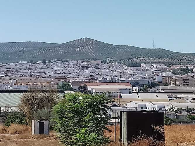 Fotografia tomada fuera de Graferma SL - Almacén en Lucena, Córdoba