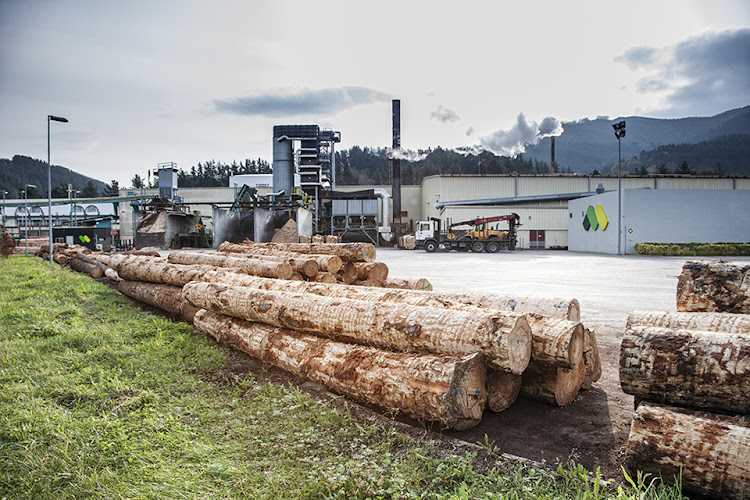 Fotografia tomada fuera de Garnica Plywood Llodio - Empresa maderera en Laudio, Álava