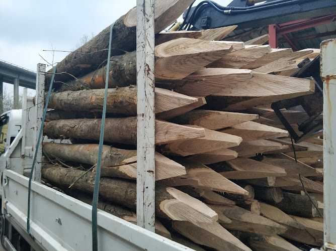 Fotografia tomada fuera de Transportes y maderas El Berrón - Almacén en Bendición, Asturias