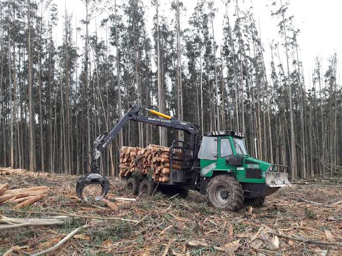 Fotografia tomada fuera de MADERAS DARÍO VARELA ROMERO S.A.U. - Establecimiento de venta de madera en A Coruña, A Coruña