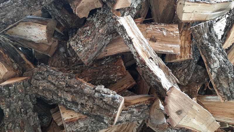 Fotografia tomada fuera de Área Forestal Soriana - Establecimiento de venta de madera en Vinuesa, Soria