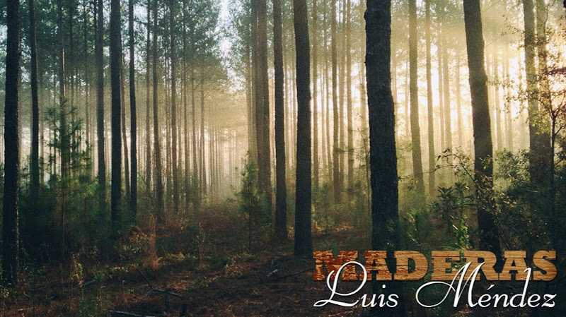 Fotografia tomada fuera de Maderas Luis Méndez - Empresa maderera en Vegadeo, Asturias
