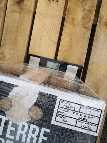 Fotografia tomada fuera de Talleres Legorreta - Car repair and maintenance service en Legorreta, Guipúzcoa