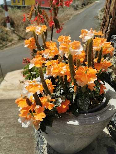 Fotografia tomada fuera de Cerrajería San Pedro - Carpintería en Breña Alta, Santa Cruz de Tenerife