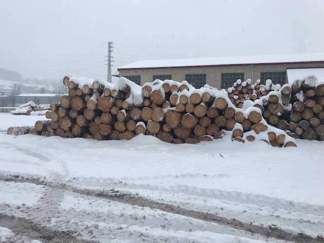 Fotografia tomada fuera de Maderas Murga S.L. - Aserradero en Murga, Álava