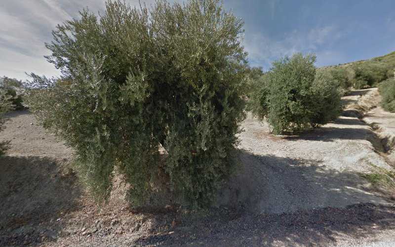 Fotografia tomada fuera de Casa Rural El Carpintero - Casa rural en Íllora, Granada