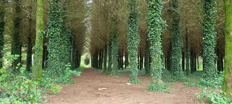 Fotografia tomada fuera de Pedrouzo - Carpintería metálica y de aluminio en Campo, Lugo