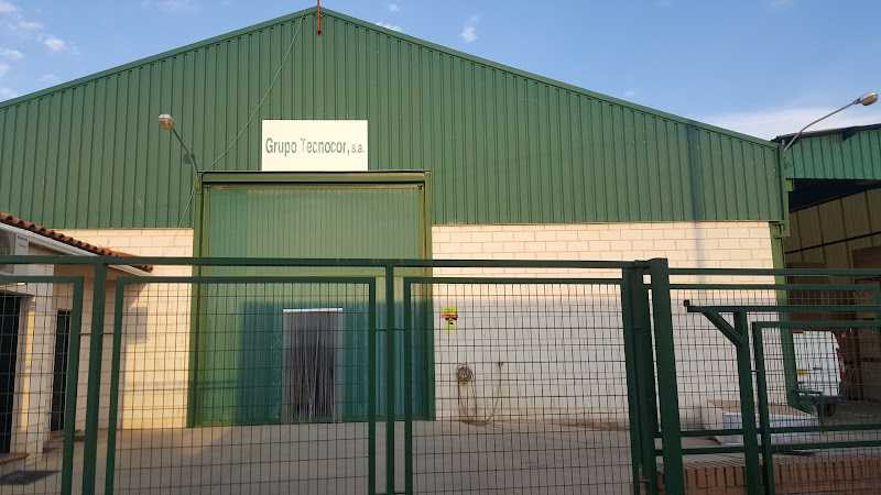 Fotografia tomada fuera de Grupo Tecnocor S.A. - Empresa maderera en Calzada de Calatrava, Ciudad Real
