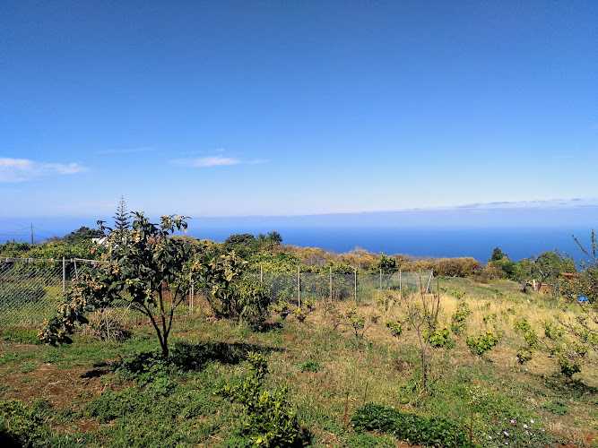 Fotografia tomada fuera de Carpinteria y Construcciones Manufacto - Store en Puntagorda, Santa Cruz de Tenerife