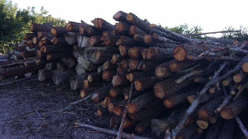 Fotografia tomada fuera de Maderas y Palets Rubio - Fusteria en Borriol, Castellón