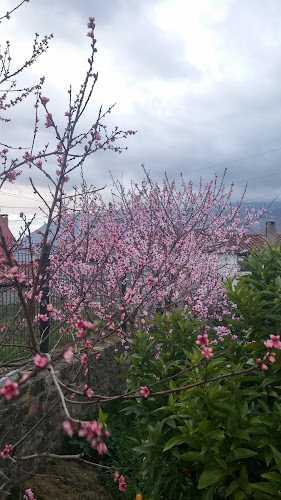 Fotografia tomada fuera de Maderas Iglesias - Contratista de explotación forestal en Colunga, Asturias