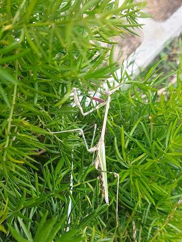 Fotografia tomada fuera de AluminiosTecno2 - Metalwork en Carranque, Toledo