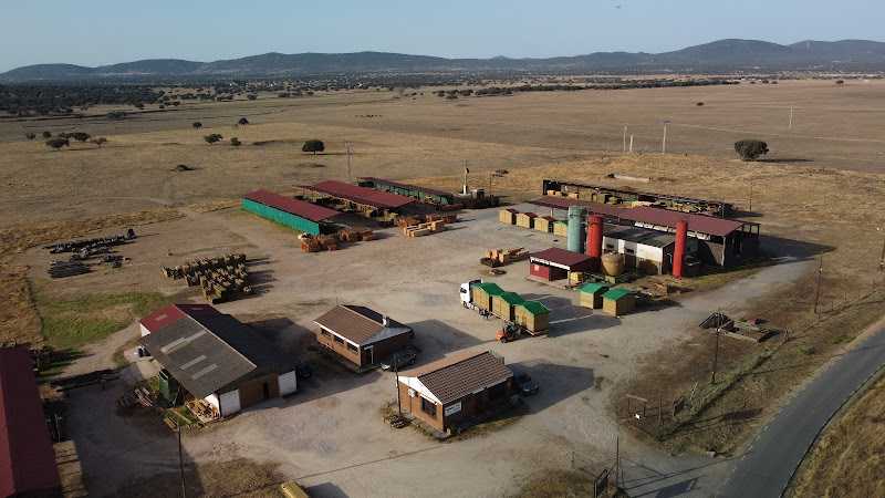 Fotografia tomada fuera de Sital - Establecimiento de venta de madera en Aldea del Cano, Cáceres