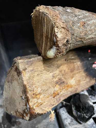 Fotografia tomada fuera de Venta madera - Subministrament de llenya en L'Ametlla del Vallès, Barcelona