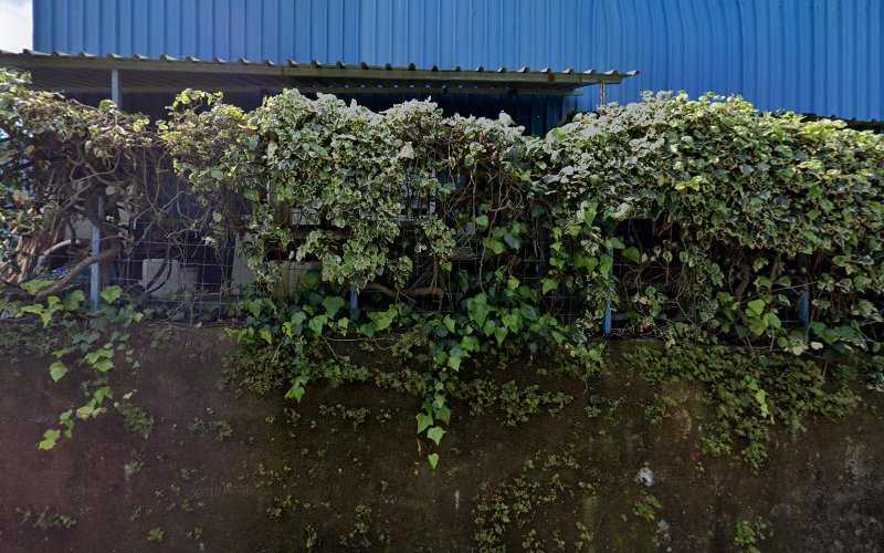 Fotografia tomada fuera de Carpinautic - Carpintería en Redondela, Pontevedra