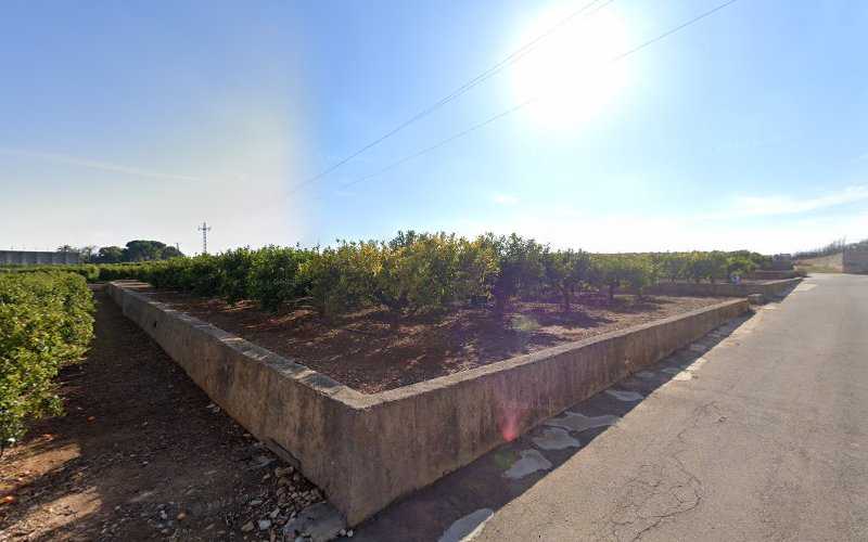 Fotografia tomada fuera de Maderas y Chapas Blanquer (Aserradero) - Empresa maderera en Picassent, Valencia