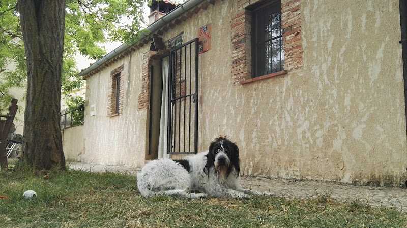 Fotografia tomada fuera de Casa Rural La Cabaña De Polendos - Alojamiento en interiores en Cabañas de Polendos, Segovia