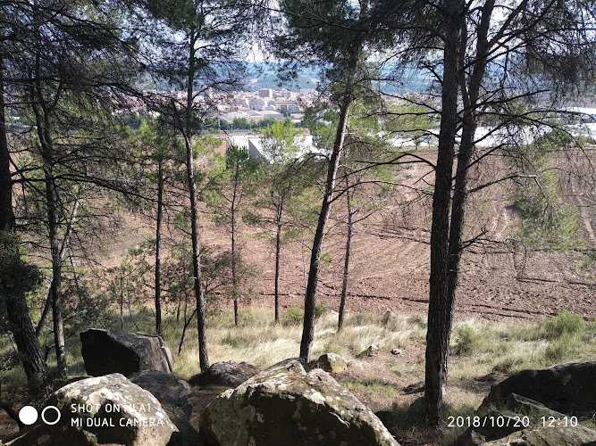 Fotografia tomada fuera de Carpintería de Aluminios Garsan S.L - Taller de metall en Navàs, Barcelona