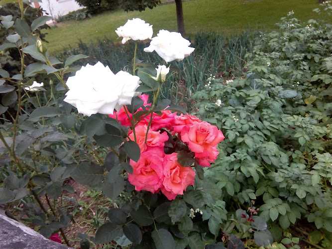 Fotografia tomada fuera de Talleres Metálicos Julián - Fabricante de estructuras metálicas en Muriedas, Cantabria