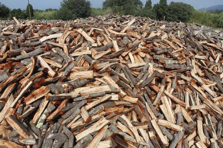 Fotografia tomada fuera de Leñas Empordà - Leña Carbones y Trabajos Forestales Figueras - Gerona - Fusteria en Mollet de Peralada, Girona